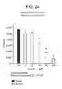 Fig. 25 - CO-ENZYME Q10 FORMULATIONS AND METHODS OF USE