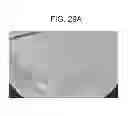 Fig. 30 - CO-ENZYME Q10 FORMULATIONS AND METHODS OF USE