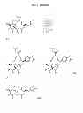 Fig. 22 - COMPOSITIONS AND METHODS FOR TREATMENT OF AUTOIMMUNE AND OTHER DISEASE