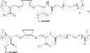 Fig. 348 - COMPOSITIONS AND METHODS FOR TREATMENT OF AUTOIMMUNE AND OTHER DISEASE