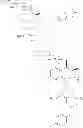 Fig. 487 - COMPOSITIONS AND METHODS FOR TREATMENT OF AUTOIMMUNE AND OTHER DISEASE