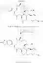 Fig. 534 - COMPOSITIONS AND METHODS FOR TREATMENT OF AUTOIMMUNE AND OTHER DISEASE