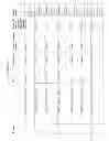 Fig. 58 - COMPOSITIONS AND METHODS FOR TREATMENT OF AUTOIMMUNE AND OTHER DISEASE