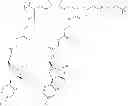 Fig. 97 - COMPOSITIONS AND METHODS FOR TREATMENT OF AUTOIMMUNE AND OTHER DISEASE