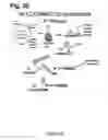 Fig. 08 - Regulation of specific spinal neurons regulating pain transmission via chimeric toxins