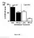 Fig. 16 - Regulation of specific spinal neurons regulating pain transmission via chimeric toxins
