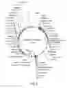 Fig. 09 - RECOMBINANT HUMAN NAGLU PROTEIN AND USES THEREOF