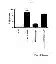 Fig. 07 - TOLL LIKE RECEPTOR 3 ANTAGONISTS, METHODS AND USES