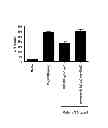 Fig. 08 - TOLL LIKE RECEPTOR 3 ANTAGONISTS, METHODS AND USES
