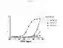 Fig. 28 - TOLL LIKE RECEPTOR 3 ANTAGONISTS, METHODS AND USES
