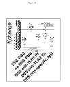 Fig. 46 - TOLL LIKE RECEPTOR 3 ANTAGONISTS, METHODS AND USES