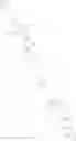 Fig. 293 - SUBSTITUTED IMIDAZOPYRIDINES AND INTERMEDIATES THEREOF