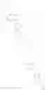 Fig. 294 - SUBSTITUTED IMIDAZOPYRIDINES AND INTERMEDIATES THEREOF