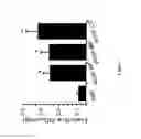 Fig. 02 - Methods and compositions for modulation of blood-neural barrier