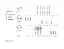 Fig. 03 - METHOD OF TREATING LEUKEMIA IN A MAMMAL