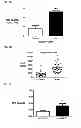 Fig. 02 - Pulmonary hypertension