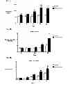 Fig. 05 - Pulmonary hypertension