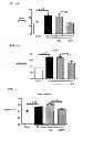 Fig. 06 - Pulmonary hypertension