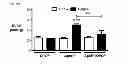 Fig. 09 - Pulmonary hypertension