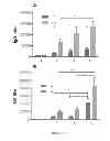 Fig. 05 - VLPS containing ligands and methods related thereto