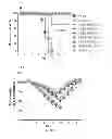 Fig. 06 - VLPS containing ligands and methods related thereto