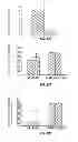 Fig. 09 - Xenotransplant Compositions and Methods of Stroke Therapy