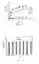 Fig. 06 - NANOPARTICLE DRUG CARRIER, PHARMACEUTICAL COMPOSITION AND MANUFACTURING METHOD THEREOF