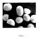 Fig. 06 - Compositions of low sodium salt and methods of making and using