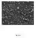 Fig. 28 - Compositions of low sodium salt and methods of making and using