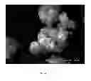 Fig. 33 - Compositions of low sodium salt and methods of making and using