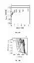 Fig. 04 - Synthesis of nanomaterials