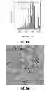 Fig. 14 - Synthesis of nanomaterials