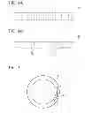 Fig. 04 - Silicon member for semiconductor apparatus and method of producing the same