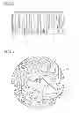 Fig. 05 - Silicon member for semiconductor apparatus and method of producing the same