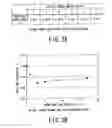 Fig. 04 - Sliding member, method for producing same, and method for forming resin coating film