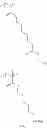 Fig. 58 - Curable composition for imprint, pattern-forming method and pattern