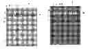Fig. 01 - Touch screen panel