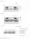 Fig. 02 - Decorative sheet and decorative resin molded article obtained using same