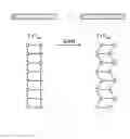 Fig. 01 - Oligocrystalline ceramic structures for enhanced shape memory and pseudoelastic effects