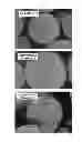 Fig. 04 - CNT and method for manufacturing thereof