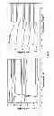 Fig. 09 - Stretchable, solvent free, completely amorphous solid electrolyte films