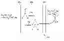 Fig. 01 - DIRECT METHANOL FUEL CELL OPERABLE WITH NEAT METHANOL