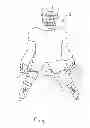 Fig. 02 - SKATE TRAINER