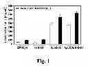 Fig. 02 - Granzyme A and granzyme B diagnostics