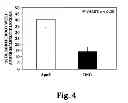 Fig. 05 - Granzyme A and granzyme B diagnostics