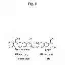 Fig. 06 - CAGED COMPOUND WHICH CAN BE PHOTOACTIVATED SELECTIVELY FOR CELL TYPES