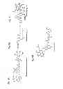 Fig. 07 - CAGED COMPOUND WHICH CAN BE PHOTOACTIVATED SELECTIVELY FOR CELL TYPES