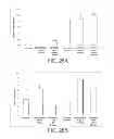 Fig. 28 - SACCHARIDE-CONTAINING PROTEIN CONJUGATES AND USES THEREOF