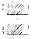 Fig. 09 - PLASMA PROCESSING APPARATUS AND PLASMA PROCESSING METHOD