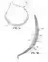 Fig. 04 - BREAST CUP AND METHOD OF MANUFACTURE